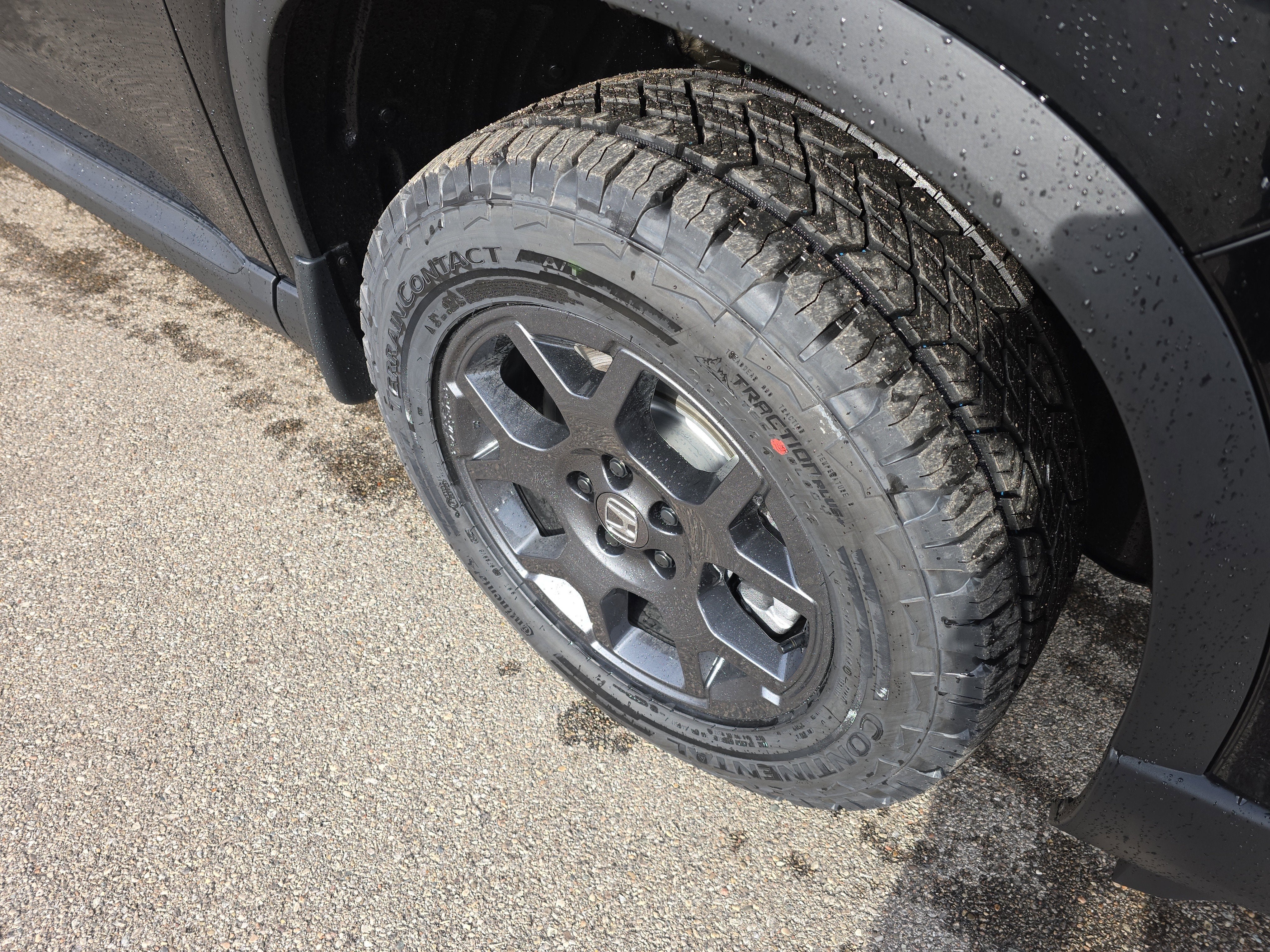 2026 Honda Pilot TrailSport