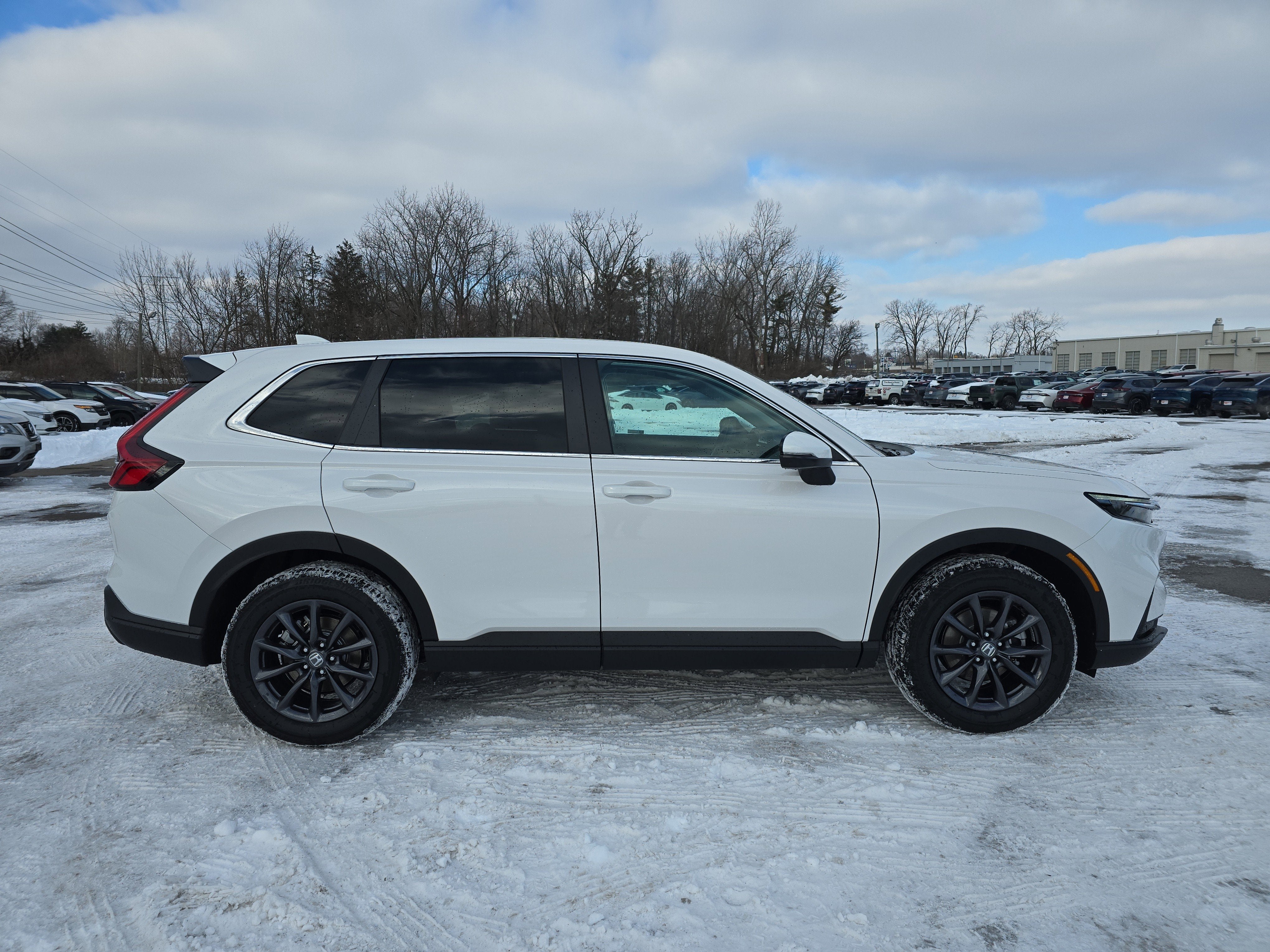 2026 Honda CR-V EX-L